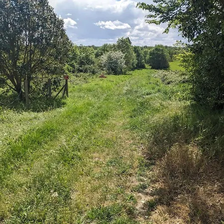Au Bord Des Vignes - 10 Pers * Prignac-et-Marcamps