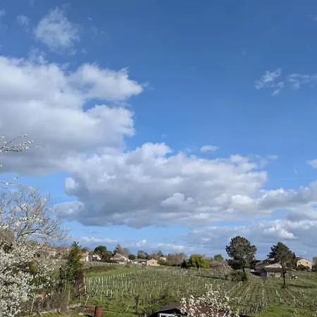Au Bord Des Vignes - 10 Pers